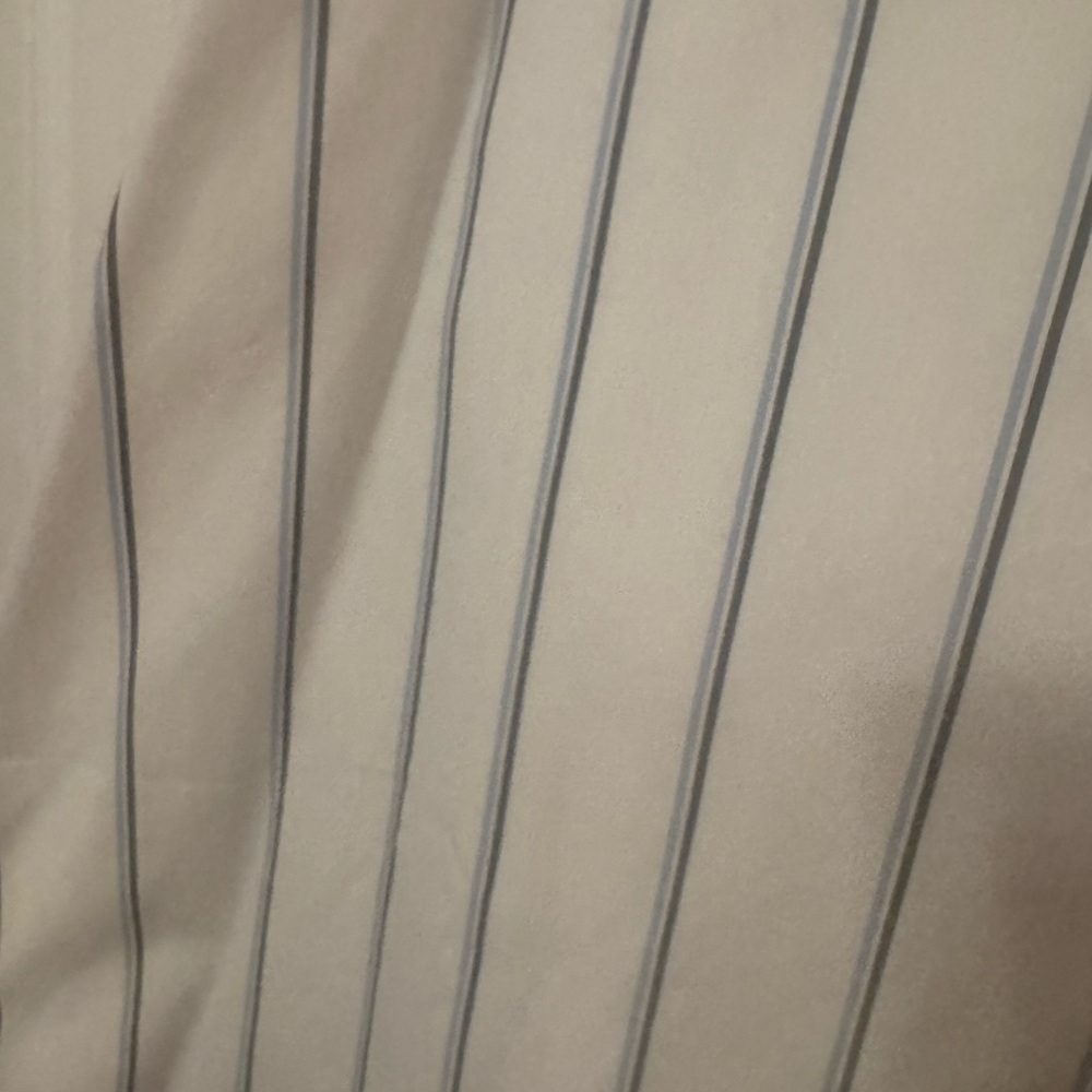 Banana Republic White Sleeveless Button-Up with Navy Pinstripes - Picture 2 of 7